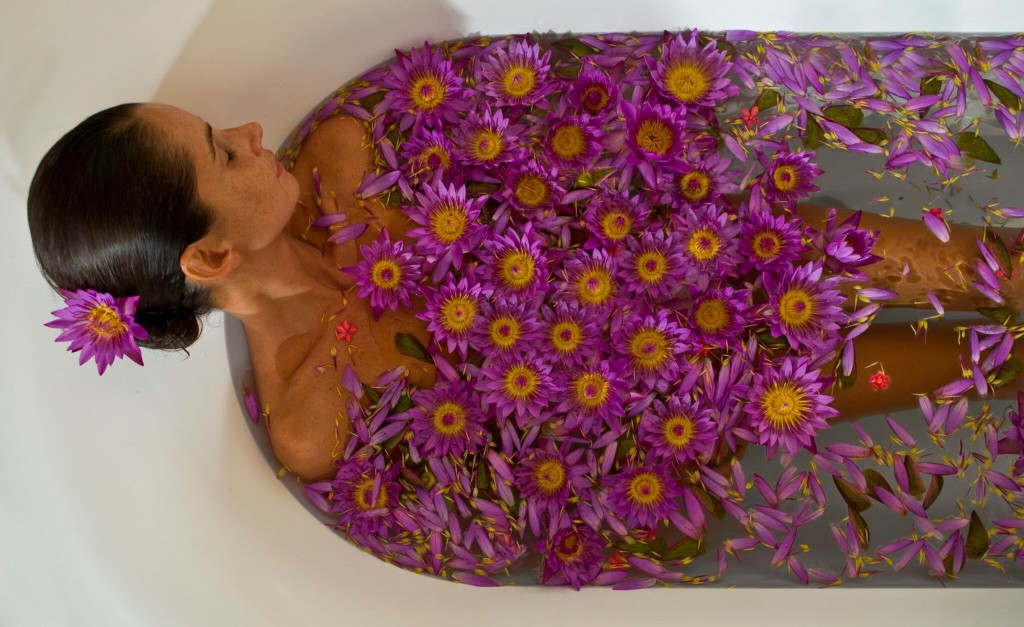 Wellness Healing Experiences